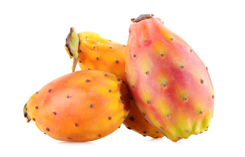 Huile de pépins 100% pure — Guelmim